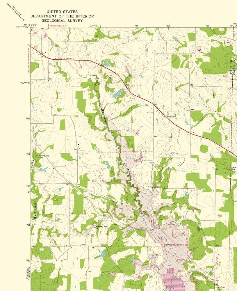 Topographical Map - Cason Texas Quad - USGS 1980 - 23 x 28.20 - Vintage Wall Art