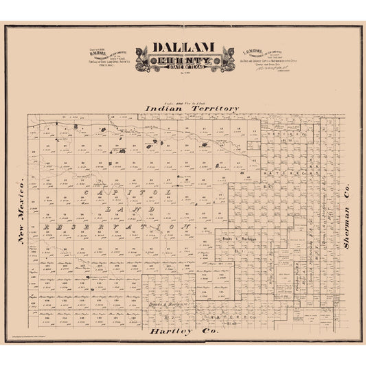 Historic County Map - Dallam County Texas - Hall 1888 - Vintage Wall Art