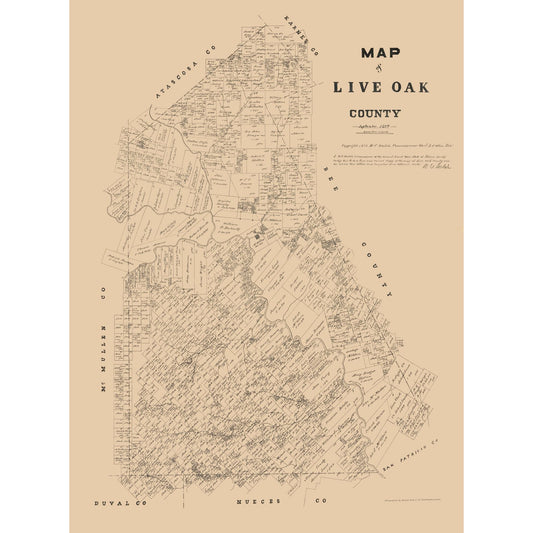 Historic County Map - Live Oak County Texas - Walsh 1879 - Vintage Wall Art