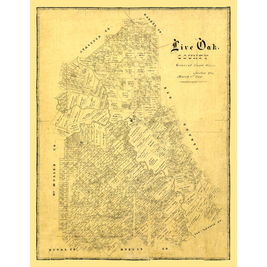 Historic County Map- Live Oak County Texas - General Land Office 1879 - Vintage Wall Art