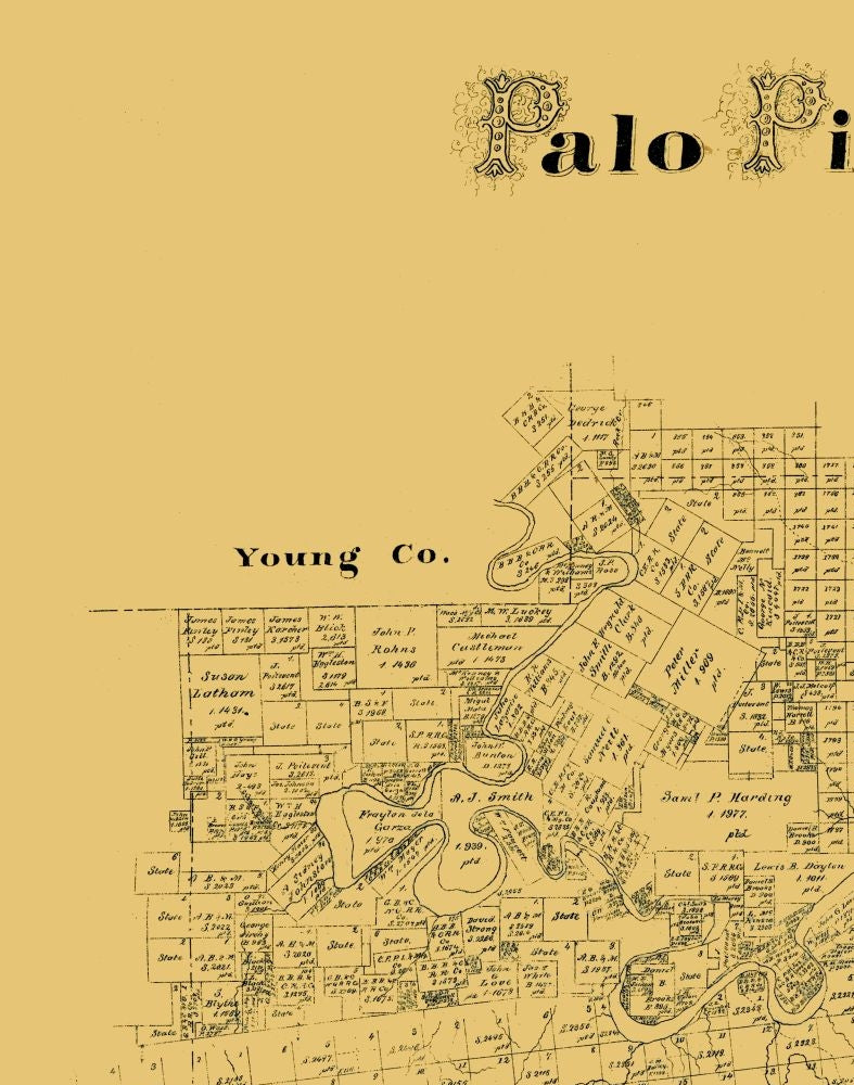 Historic County Map - Palo Pinto County Texas - Blau 1879 - 23 x 29.22 - Vintage Wall Art
