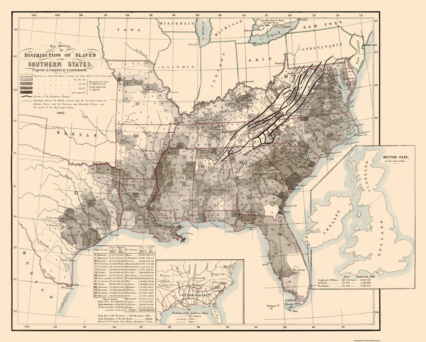 Historic State Map - United States Southern Slave Disributiont - Steinwehr 1865 - 28.69 x 23 - Vintage Wall Art