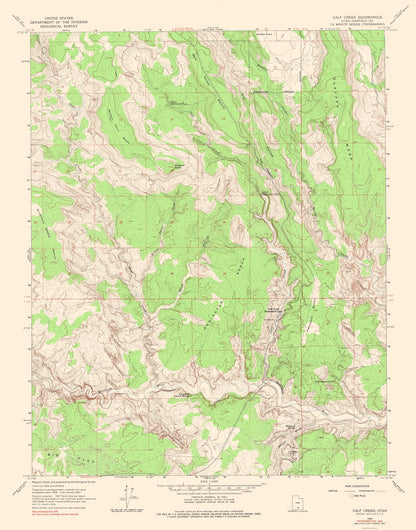 Topographical Map - Calf Creek Utah Quad - USGS 1964 - 23 x 29.32 - Vintage Wall Art