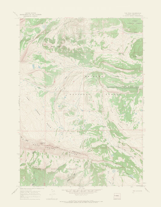 Topographical Map - Tosi Peak Wyoming Quad - USGS 1967 - 23 x 29.65 - Vintage Wall Art